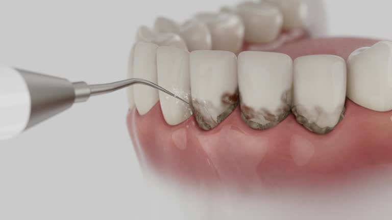 Reliable Dental contractor in Lehi, UT by Dentist Open Now